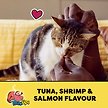 Show in main carousel: Temptations Mix Ups Tuna, Shrimp & Salmon Flavour Cat Treats, 850-g tub slide 6 of 8