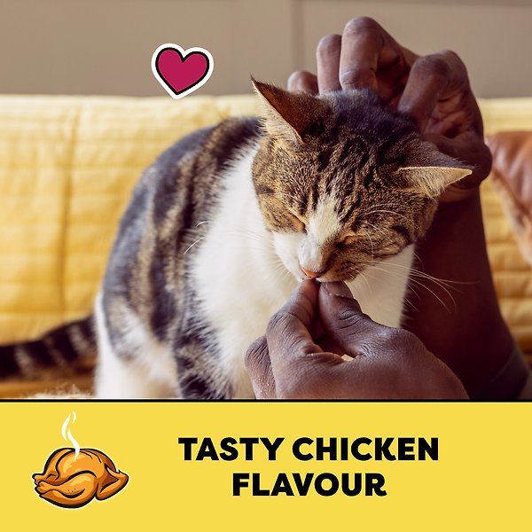 Show full view: Temptations Tasty Chicken Soft & Crunchy Cat Treats, 850-g tub slide 6 of 9