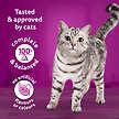 Show in main carousel: Whiskas Meaty Selections Chicken Natural Adult Dry Cat Food, 9.1-kg bag slide 5 of 5
