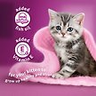 Show in main carousel: Whiskas Perfect Portions Kitten Chicken Entree Pate Wet Cat Food, 75-g tray, case of 24 slide 6 of 6