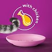 Show in main carousel: Whiskas Meaty Selections Chicken Natural Adult Dry Cat Food, 9.1-kg bag slide 2 of 5