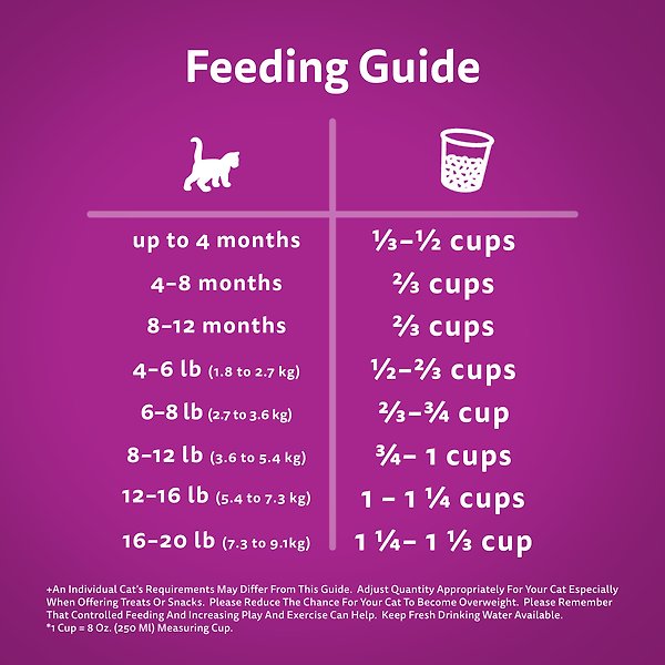 Show full view: Whiskas Kitten High Protein Real Chicken Dry Cat Food, 1.5-kg bag slide 4 of 5