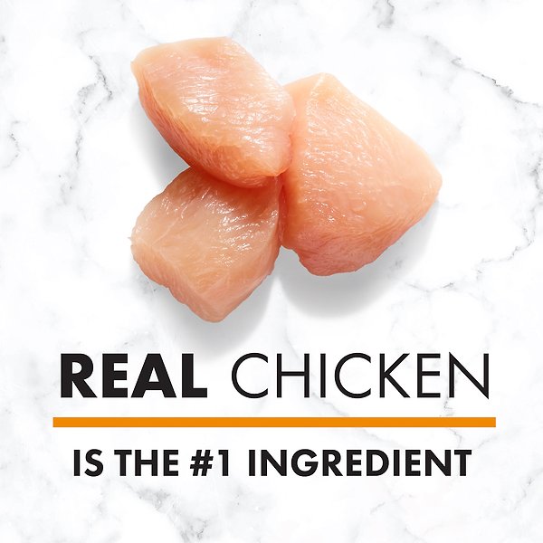 Show full view: Nutro Natural Choice Large Breed Senior Chicken & Brown Rice Recipe Dry Dog Food, 13.6-kg bag slide 5 of 6