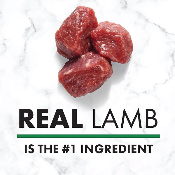 Show full view: Nutro Natural Choice Large Breed Lamb & Brown Rice Recipe Dry Dog Food, 13.6-kg bag slide 4 of 5