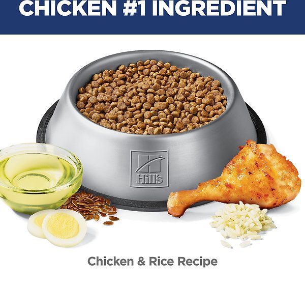 Show full view: Hill's Science Diet Adult Small & Mini Perfect Weight Dry Dog Food, 1.81-kg bag slide 5 of 11