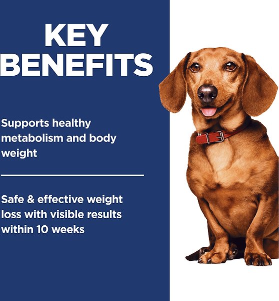 Show full view: Hill's Science Diet Adult Small & Mini Perfect Weight Dry Dog Food, 1.81-kg bag slide 6 of 11