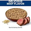 Show in main carousel: Hill's Science Diet Adult Small & Mini Beef & Barley Entree Canned Dog Food, 5.8-oz can, case of 24 slide 5 of 11