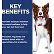 Show in main carousel: Hill's Science Diet Adult Perfect Digestion Chicken, Brown Rice, & Whole Oats Recipe Dry Dog Food, 5.44-kg bag slide 6 of 12