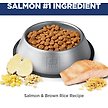 Show in main carousel: Hill's Science Diet Adult Perfect Digestion Salmon Dry Dog Food, 1.58-kg bag slide 5 of 12