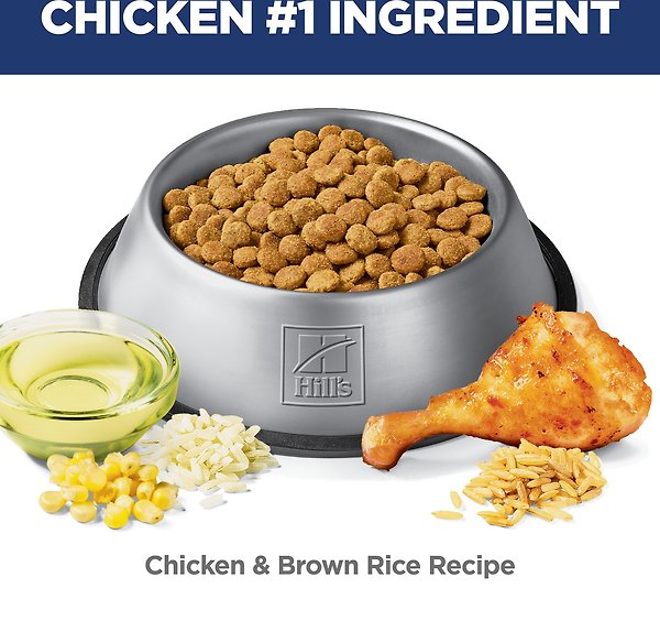 Show full view: Hill's Science Diet Adult 7+ Perfect Digestion Chicken Dry Dog Food, 1.58-kg bag slide 5 of 12