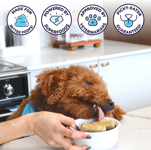 Show full view: Healthybud Turkey Patties Rehydratable Square Meals Freeze-Dried Raw Dog Food, 14-oz bag slide 8 of 8