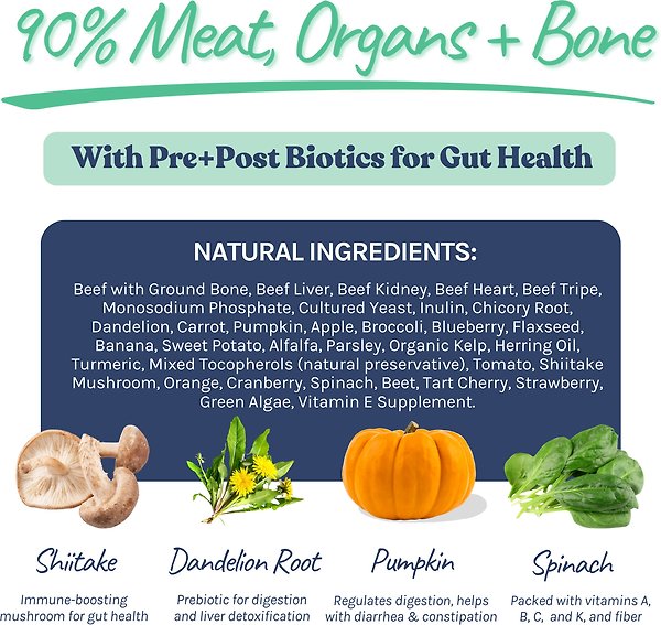 Show full view: Healthybud Beef Patties Rehydratable Square Meals Freeze-Dried Raw Dog Food, 14-oz bag slide 4 of 9