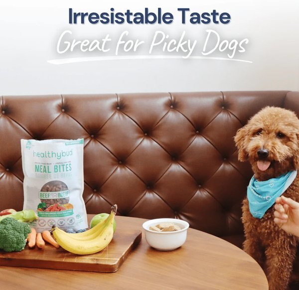 Show full view: Healthybud Beef Bites Kibble-Style Freeze-Dried Raw Dog Food, 14-oz bag slide 8 of 8