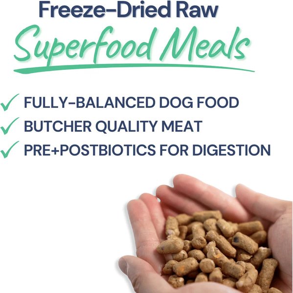 Show full view: Healthybud Beef Bites Kibble-Style Freeze-Dried Raw Dog Food, 14-oz bag slide 6 of 8