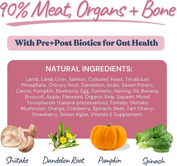 Show full view: Healthybud Lamb & Salmon Patties Rehydratable Square Meals Freeze-Dried Raw Dog Food, 14-oz bag slide 4 of 8