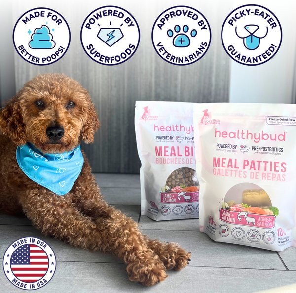 Show full view: Healthybud Lamb & Salmon Bites Kibble-Style Freeze-Dried Raw Dog Food, 14-oz bag slide 7 of 8