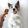Show in main carousel: Healthybud Cod Skin Crunchy Single-Ingredient Dog & Cat Treats, 2.8-oz bag slide 4 of 4
