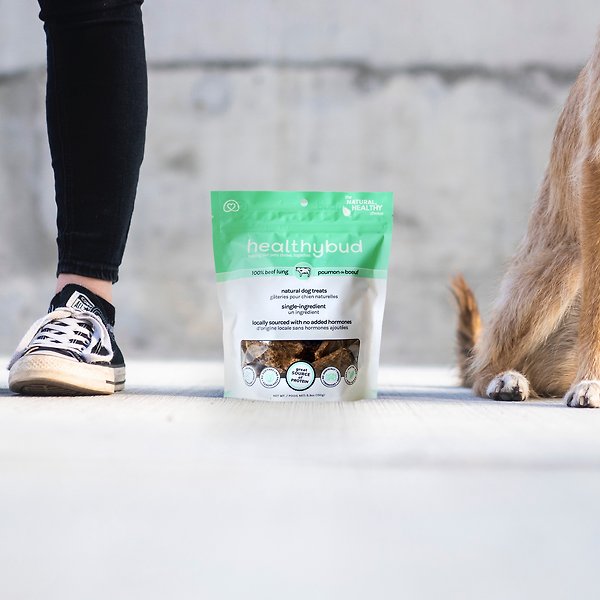 Show full view: Healthybud Beef Lung High-Value Single Ingredient Dog Treats, 2.1-oz bag slide 4 of 4