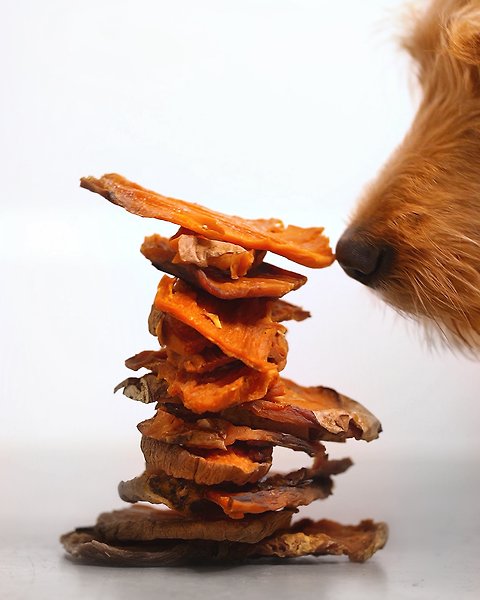 Show full view: Healthybud Single Ingredient Sweet Potato Dog Treats, 5.6-oz bag slide 3 of 3