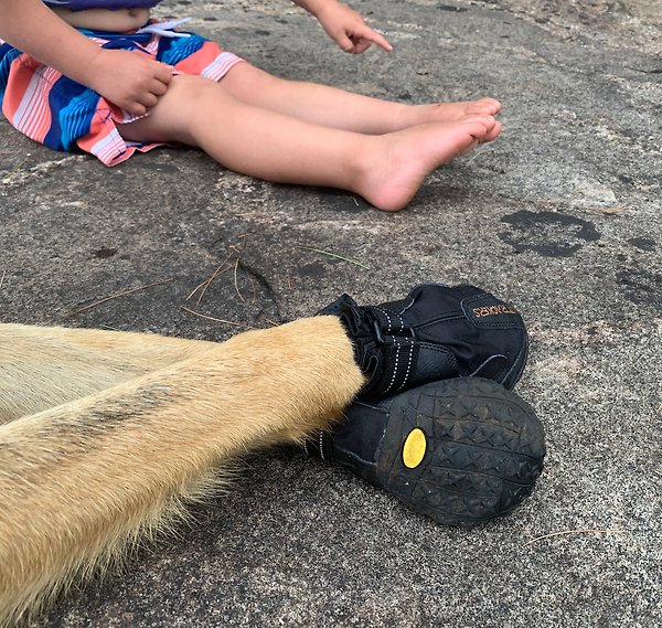 Show full view: Muttluks Original Fleece-Lined Winter Dog Boots, 4 count, Black, Medium slide 4 of 5