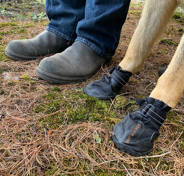 Show full view: Muttluks Original Fleece-Lined Winter Dog Boots, 4 count, Black, Medium slide 5 of 5