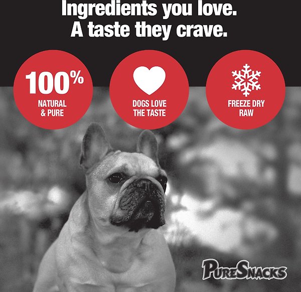 Show full view: PureSnacks Chicken Breast Freeze-Dried Dog Treats, 56g/1.98-oz bag slide 4 of 8