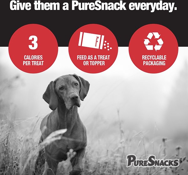 Show full view: PureSnacks Chicken Breast Freeze-Dried Dog Treats, 261g/9.2-oz bag slide 7 of 8