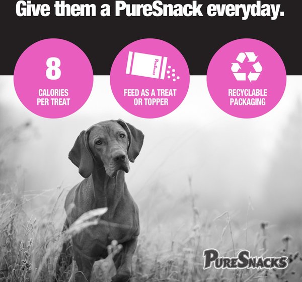 Show full view: PureSnacks Salmon Freeze-Dried Dog Treats, 100g/3.5-oz bag slide 7 of 8