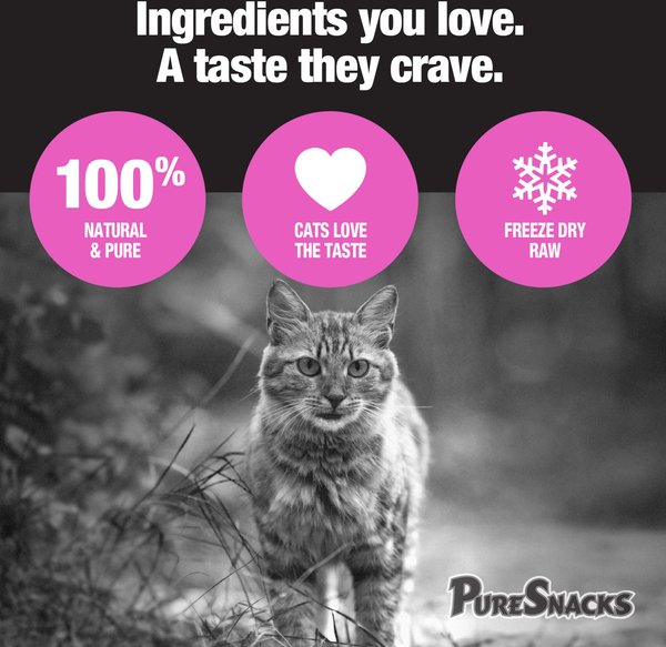 Show full view: PureSnacks Salmon Freeze-Dried Cat Treats, 23g/0.81-oz bag slide 4 of 9