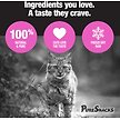 Show in main carousel: PureSnacks Salmon Freeze-Dried Cat Treats, 23g/0.81-oz bag slide 4 of 9