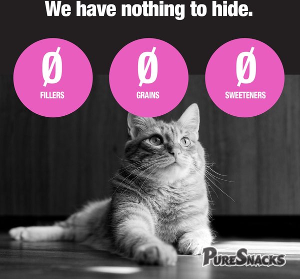 Show full view: PureSnacks Salmon Freeze-Dried Cat Treats, 23g/0.81-oz bag slide 5 of 9