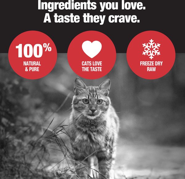 Show full view: PureSnacks Chicken Breast Freeze-Dried Cat Treats, 29g/1.02-oz bag slide 4 of 9