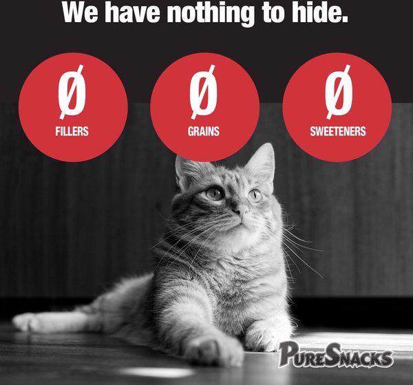 Show full view: PureSnacks Chicken Breast Freeze-Dried Cat Treats, 29g/1.02-oz bag slide 5 of 9