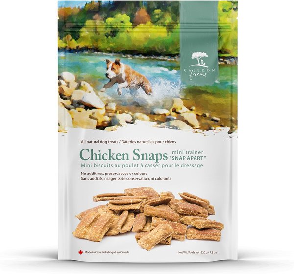 Caledon Farms Mini Trainers Chicken Snaps Crunchy Dog Treats, 220-g bag slide 1 of 1