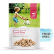 Show in main carousel: Caledon Farms Lamb Bites Freeze-Dried Dog Treats, 115-g bag slide 1 of 5