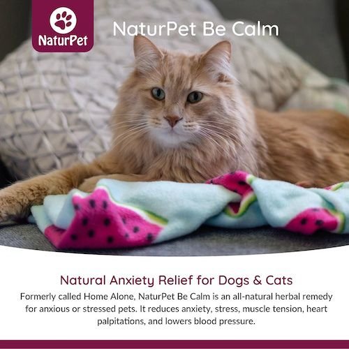 Show full view: NaturPet Be Calm Liquid Supplement for Dogs & Cats, 100-mL bottle slide 5 of 7