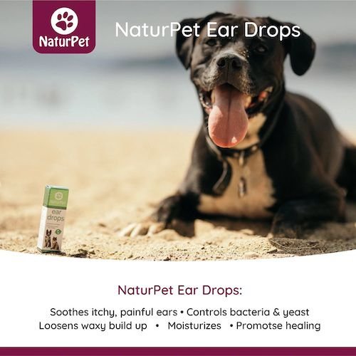 Show full view: NaturPet Ear Drops for Dogs & Cats, 10-mL bottle slide 3 of 7