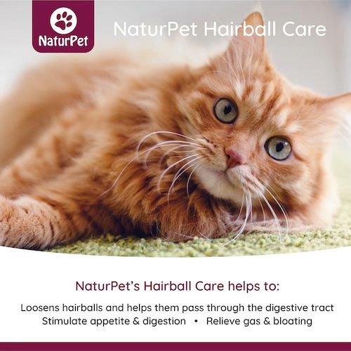 Show full view: NaturPet Hairball Care Treatment for Cats, 100-mL bottle slide 3 of 7