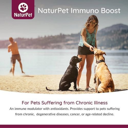 Show full view: NaturPet Immuno Boost Liquid Supplement for Dogs & Cats, 60-g bottle slide 5 of 6