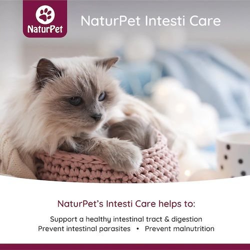 Show full view: NaturPet Intesti Care Powder Supplement for Dogs & Cats, 165-g jar slide 3 of 7
