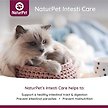 Show in main carousel: NaturPet Intesti Care Powder Supplement for Dogs & Cats, 165-g jar slide 3 of 7
