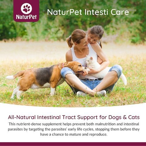 Show full view: NaturPet Intesti Care Powder Supplement for Dogs & Cats, 165-g jar slide 5 of 7