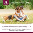 Show in main carousel: NaturPet Intesti Care Powder Supplement for Dogs & Cats, 165-g jar slide 5 of 7