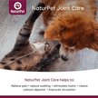 Show in main carousel: NaturPet Joint Care Liquid Supplement for Dogs & Cats, 100-mL bottle slide 3 of 6