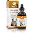 Show in main carousel: NaturPet Ligaments & Muscles Liquid Supplement for Dogs & Cats, 100-mL bottle slide 1 of 6