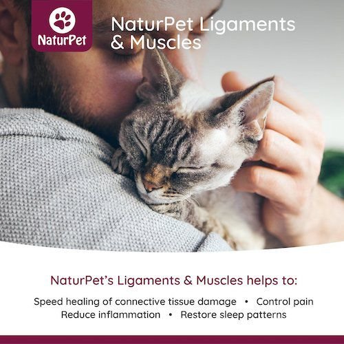 Show full view: NaturPet Ligaments & Muscles Liquid Supplement for Dogs & Cats, 100-mL bottle slide 3 of 6