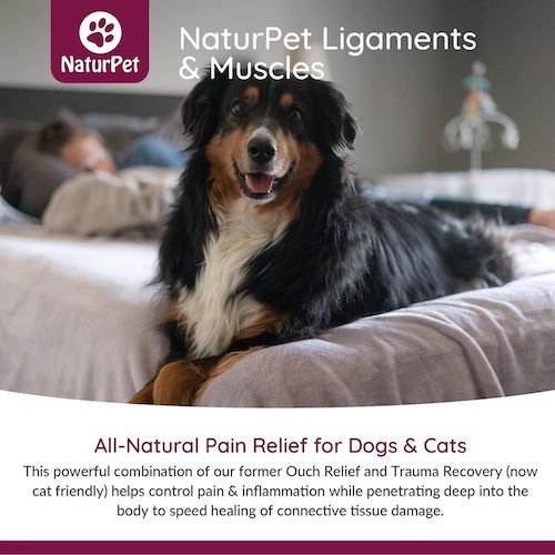 Show full view: NaturPet Ligaments & Muscles Liquid Supplement for Dogs & Cats, 100-mL bottle slide 5 of 6