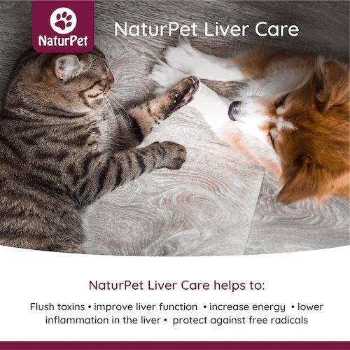 Show full view: NaturPet Liver Care Liquid Supplement for Dogs & Cats, 100-mL bottle slide 3 of 6