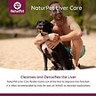 Show in main carousel: NaturPet Liver Care Liquid Supplement for Dogs & Cats, 100-mL bottle slide 5 of 6