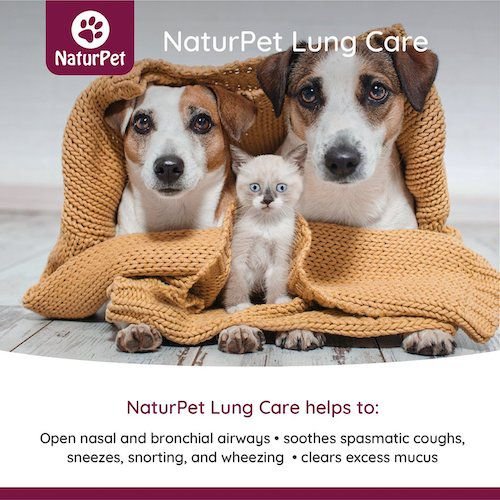 Show full view: NaturPet Lung Care Liquid Supplement for Dogs & Cats, 100-mL bottle slide 3 of 7